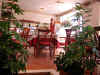 DSCN0624.JPG (134910 bytes)
